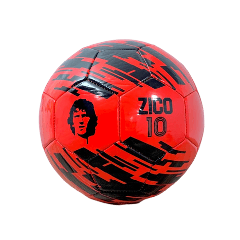 BOLA-ZICO-CAMPO-FOTO-1