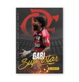 023_panini_stickers_esporte_campanha_team_set_flamengo_packshot_v1_4