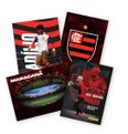 023_panini_stickers_esporte_campanha_team_set_flamengo_packshot_v1_10