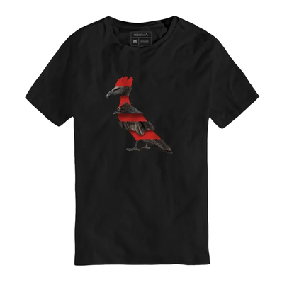 Roupas 2024 pp masculinas