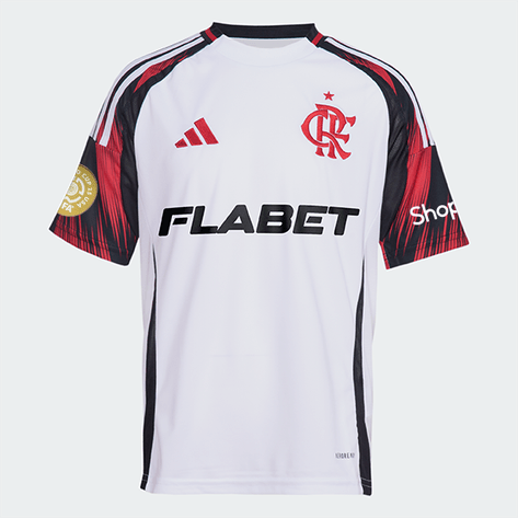 IV6039_FR_Torso_eComv2.png