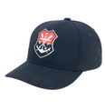 39966-P1.png